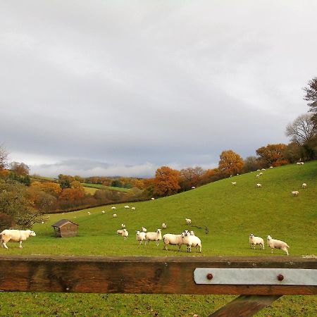 Gwilym'S Stable Apartment Builth Wells Ngoại thất bức ảnh