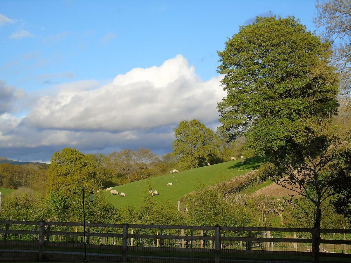 Gwilym'S Stable Apartment Builth Wells Ngoại thất bức ảnh