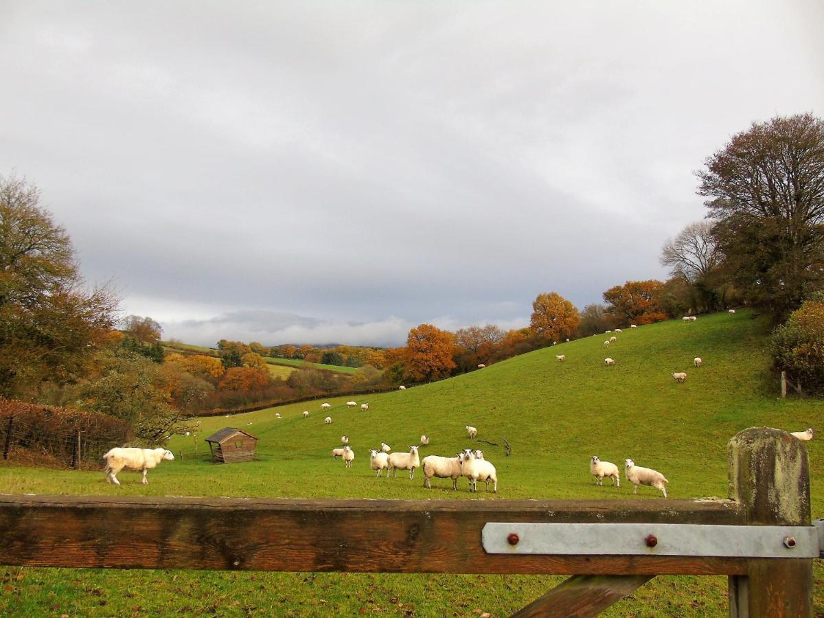 Gwilym'S Stable Apartment Builth Wells Ngoại thất bức ảnh